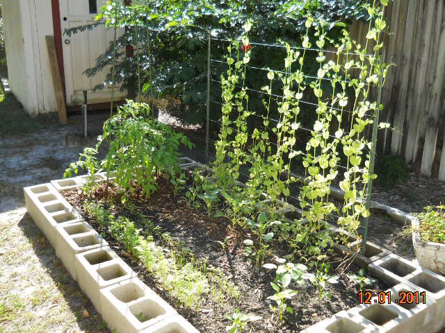 My raised bed garden